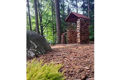 Hütte mit Kamin und Aussenkamin mit Grill