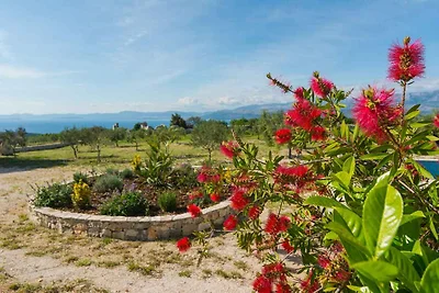 Casa vacanze Vacanza di relax Postira