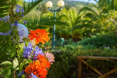 Vakantieappartement Gezinsvakantie Castiglione della Pescaia