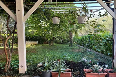 Ferienwohnung Mit Klimaanlage
