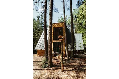 Hütte mit Kamin und Freisitz und mit