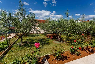 Ferienwohnung mit Grill und Terrasse, modern