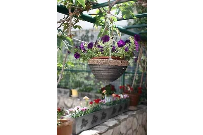 Studio-Apartment für 2–3 Personen, 10 m vom M