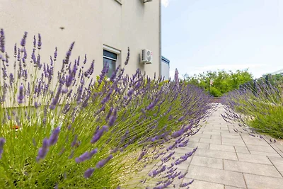 Vakantieappartement Gezinsvakantie Hlapa