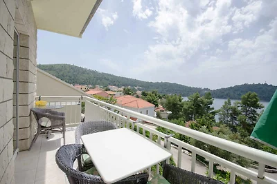 Holiday flat family holiday Smokvica