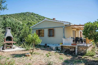 Ferienhaus mit Grill, am Meer