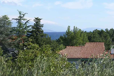 Ferienwohnung in ruhiger Lage mit Meerblick