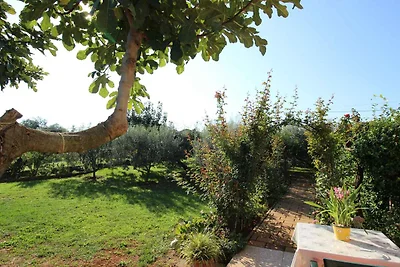 Ferienwohnung in grüner und ruhiger Lage