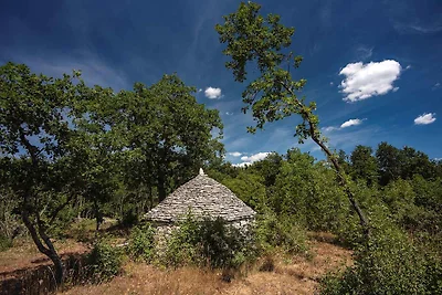 Villa mit Pool und grosszügigem Grundstück