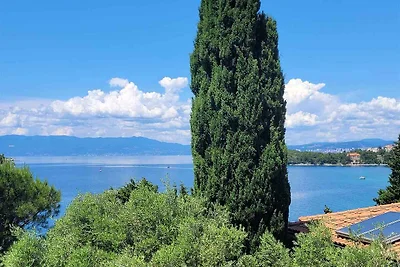 Ferienwohnung mit wunderschönem Blick auf das