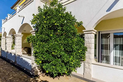 Gemütliche Unterkunft Palm Tree in Okrug