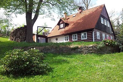 Ferienhaus mit Kamin und Terrasse