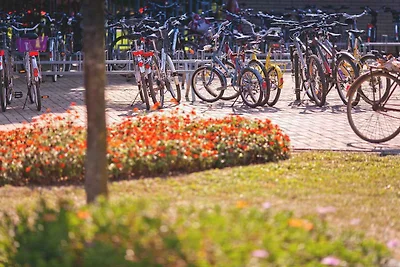 Ferienwohnung im Erdgeschoss ,gut ausgestatte