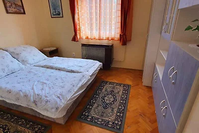 Ferienwohnung im Ortszentrum, nur 500 m vom