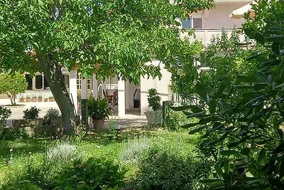 Vakantieappartement Gezinsvakantie Palit