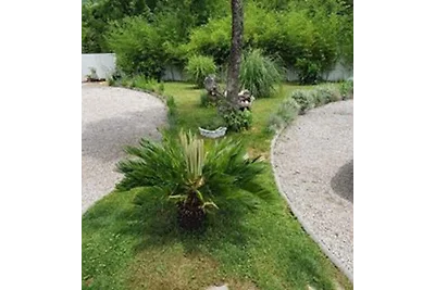 Ferienhaus mit Pool und Meerblick