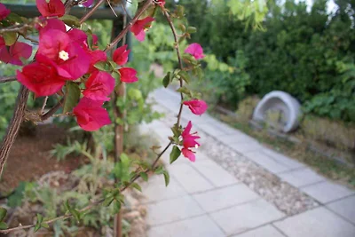 Vakantieappartement Gezinsvakantie Krk