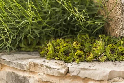 Villa mit Pool und Klimaanlage