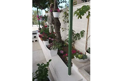 Appartamento Vacanza con famiglia Hvar