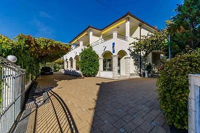 Gemütliche Unterkunft Palm Tree in Okrug