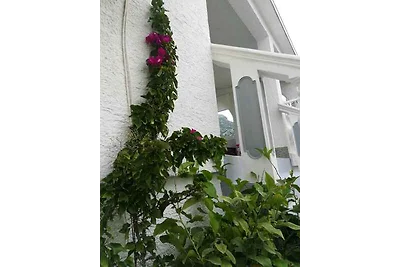 Ferienwohnung mit Pool und Grillmöglichkeit