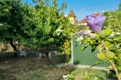 Ferienwohnung schön eingerichtet mit