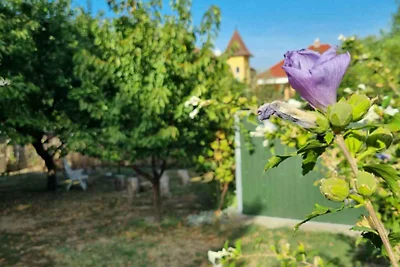 Appartamento Vacanza con famiglia Balatonlelle