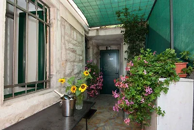 Ferienwohnung mit Meerblick