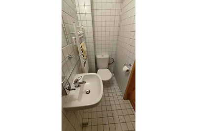 Ferienwohnung in Erzgebirge mit Möglichkeit