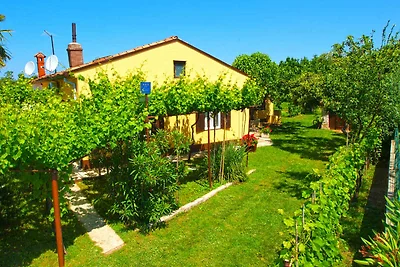 Ferienwohnung mit Garten und Grill