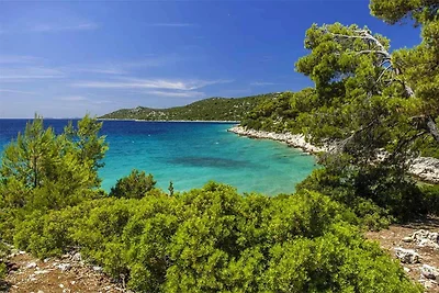 Studio Nr. 5 ideal für einen Urlaub zu zweit