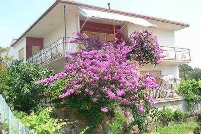 Ferienwohnung mit Meerblick 60 m vom Strand