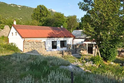 Ferienhaus mit Terrasse und Grill