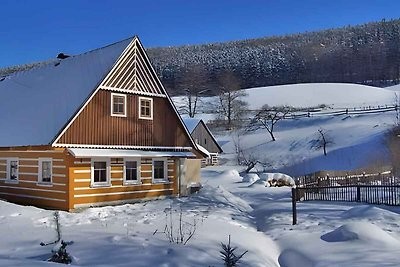 Ferienhaus mit Pool und Kaminofen