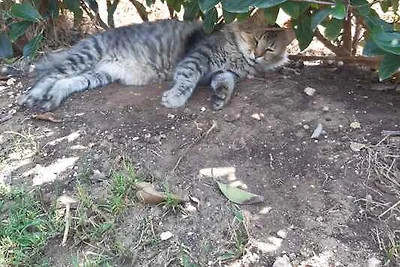 Kuća za odmor Dopust za oporavak Ispica