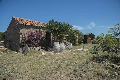 Vakantiehuis Ontspannende vakantie Sassari