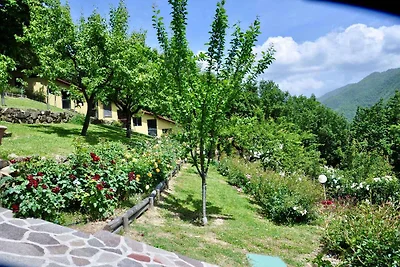 Ferienwohnung mit Pool