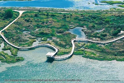 Appartamento Vacanza con famiglia Rosolina Mare