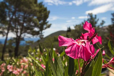 Apartament Dla rodzin Mali Lošinj