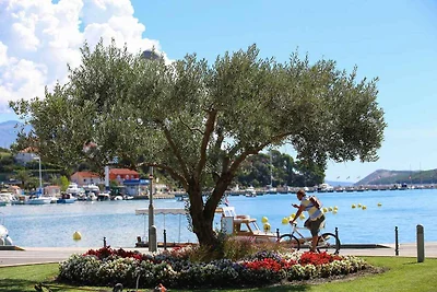 Komfortables Apartment mit 1 Schlafzimmer, Te