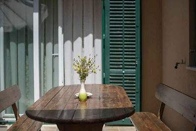 Ferienhaus mit Klimaanlage und Terrasse