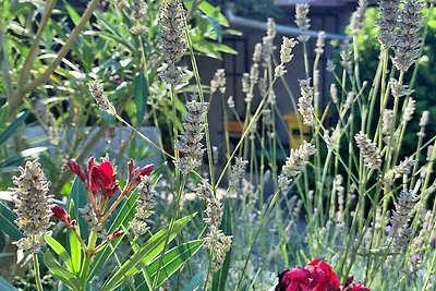 Gemütliche Ferienwohnung Gordana in Šilo auf 