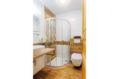 Ferienhaus mit Sauna mit Duschecke