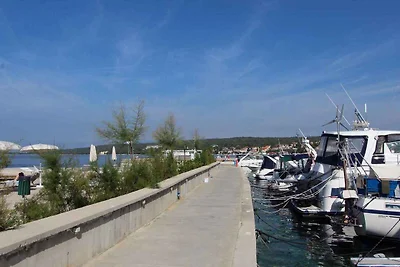 Appartamento Vacanza con famiglia Sveti Ivan Dobrinjski