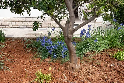 apartman za odmor Obiteljski odmor Mali Lošinj