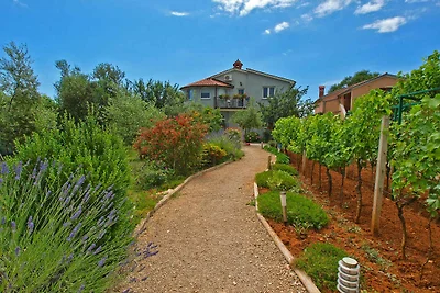 Ferienwohnung mit Klimaanlage