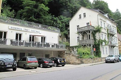 Vakantieappartement Gezinsvakantie Bad Schandau