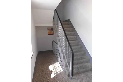 Ferienwohnung in ruhiger Waldrandlage