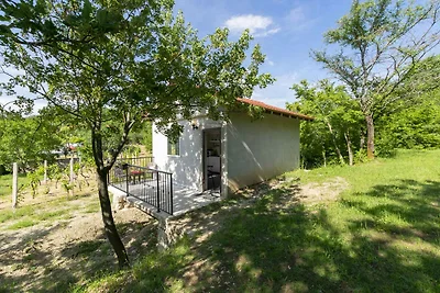 Ferienhaus mitGrill