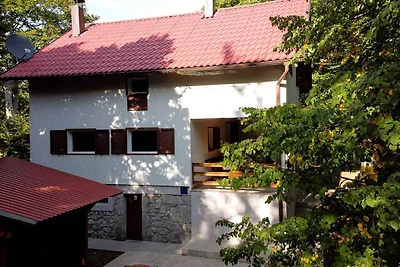 Ferienhaus mit grossen Garten